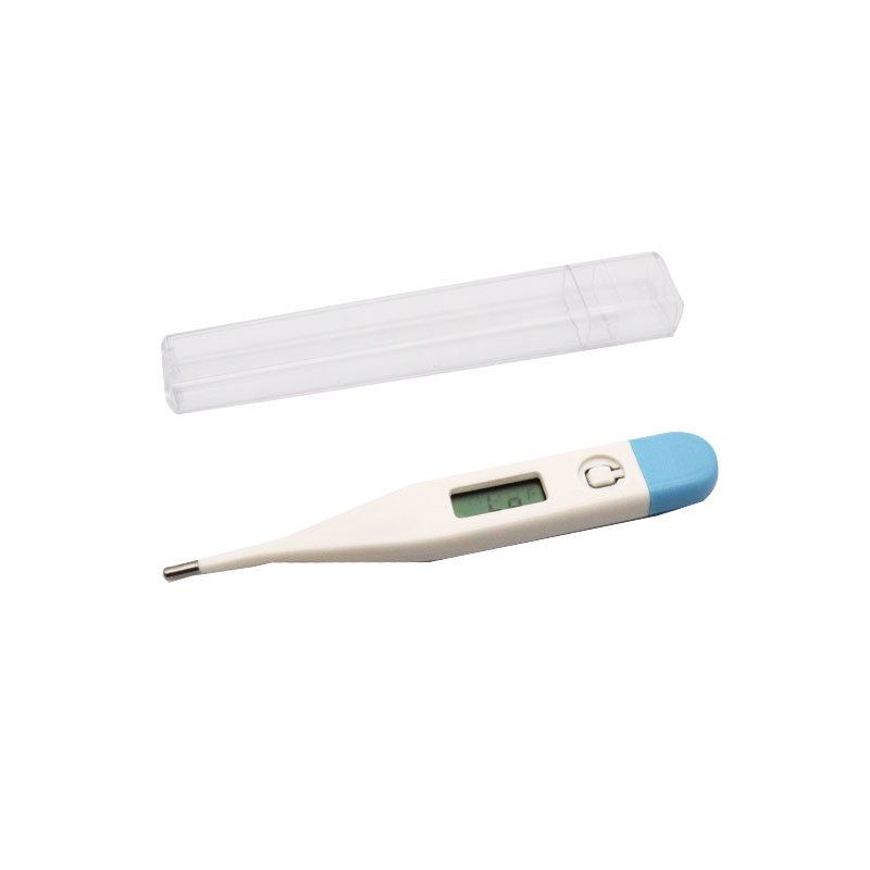 Portable Digital Thermometer2