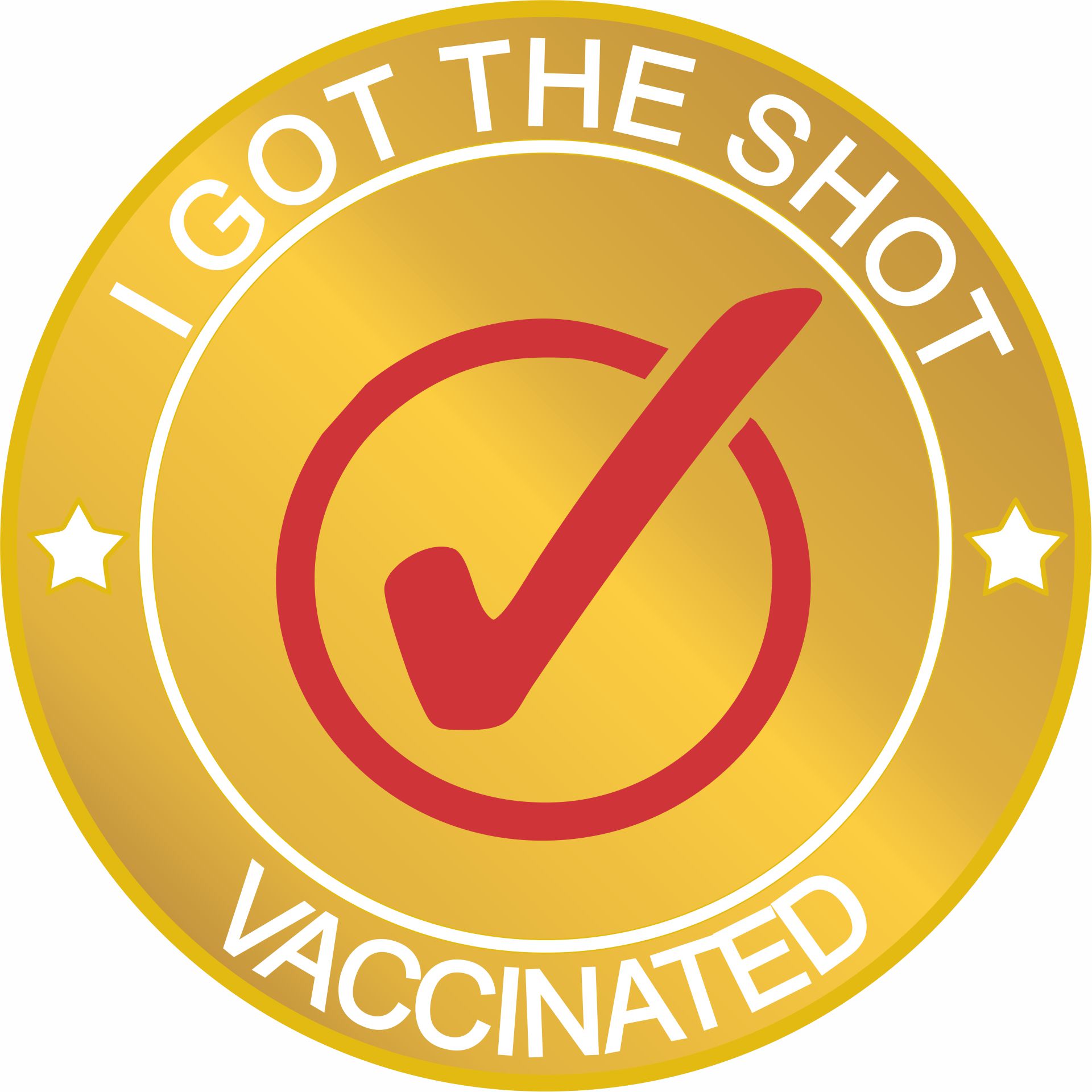 Displayed Image I GOT THE SHOT Vaccinated Lapel Pin